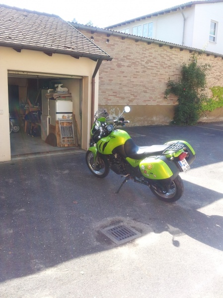 Datei:Garagentiger.jpg