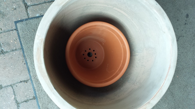 Datei:Tandoori-005.jpg