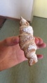 Cannoli.jpg