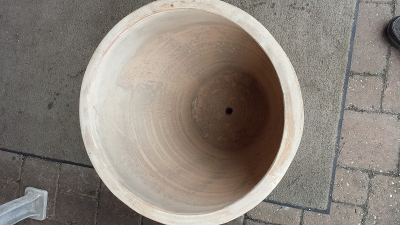 Datei:Tandoori-003.jpg