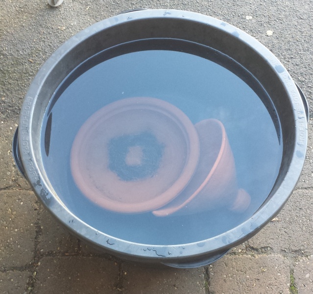 Datei:Tajine Wasser.jpg