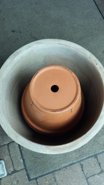 Datei:Tandoori-007.jpg