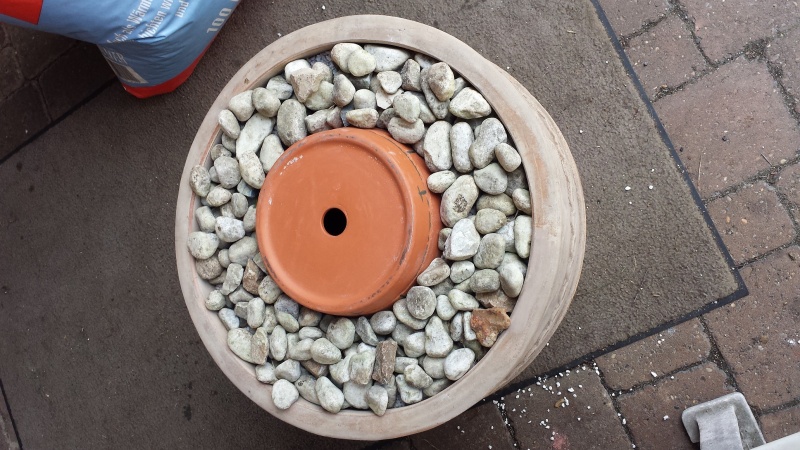 Datei:Tandoori-009.jpg